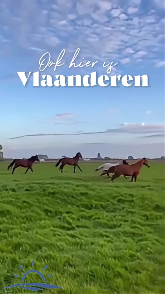 (Schoolproject) Vlaanderen vakantieland